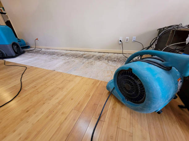 Professional Water Extraction technician working in Greenwald, MN